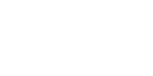 sree_nivas-png white logo